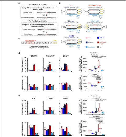 Fig. 1 Comparison of base editing outcomes at pathogenic SNVs. a The diagram to illustrate the use of BEs in creating or correcting C-to-T (G-to-A) SNVs or T-to-C (A-to-G) SNVs to model or correct disease-related mutations