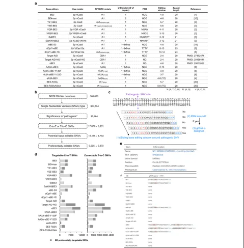 Fig. 2 In silico base editable landscape of pathogenic SNVs.listed in the right for each filtering step.sequences when a SNV is in the editing window, this SNV is considered to be a potentially targetable site by BEs.distribution of targetable or preferent