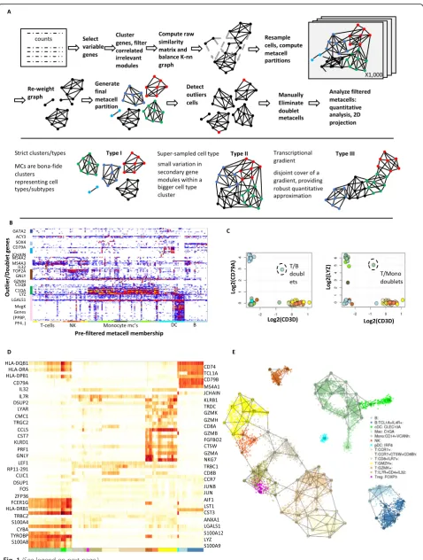 Fig. 1 (See legend on next page.)