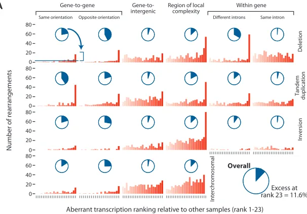 Figure 5A).In total, 50 (44%) of all 50-to-50 rearrangements generated
