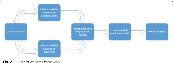 Fig. 2 Outline of wellness framework
