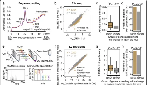 Fig. 5 AtPABs enhance translational efficiency.the poly(A) tail tended to be present in the gene group showing the downregulation of TE in thethose with TE fold change smaller than the median.detecting distance from 0 to 75 mm of the 5AtPAB2-binding effici