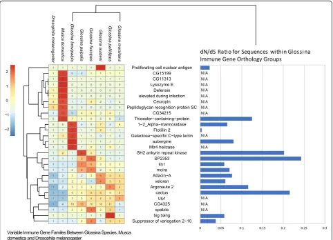 Fig. 8 Heat map of counts of Glossina homologs to Drosophila immune genes. A plot of immune gene families showing variance greater than 1in the number of genes per species