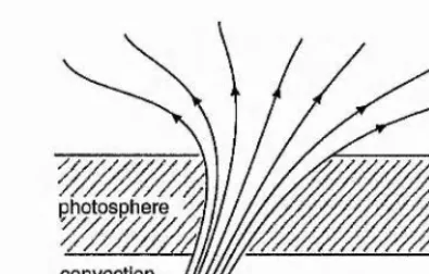 Figure 1.2: Schematic view of a rising flux tube expanding as it emerges through the photo­spheric surface.