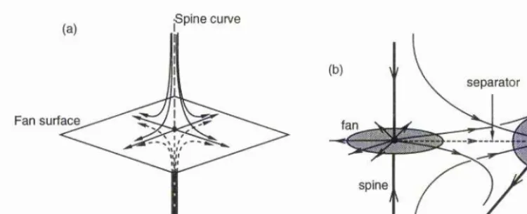 Figure 2.1: (a) General 3D null point configuration, with the spine curve intersecting the fan surface normally at the null point
