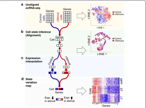 Fig. 1 Schematic of unsupervised alignment and state variation mapping with scAlign. (a) The input to scAlign consists of cells sequenced acrossmultiple scRNA-seq conditions