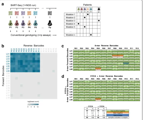 Table 1 List of targeted genes in transcriptomics experiments