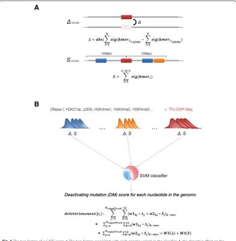 Fig. 1 The two factors of a CAPE score.of two factors (“ a The two factors associated with each genetic variant in the classifier: Δ, the disruptive effect on thecognate motif caused by a single-nucleotide variant; S, the binding capability of the neighbor