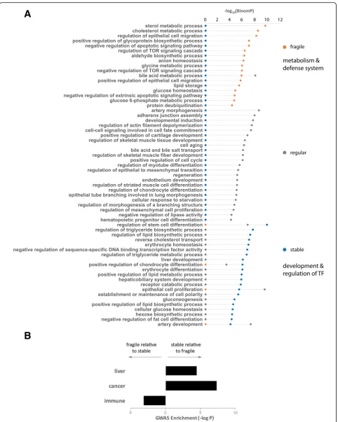 Fig. 3 Different densities of deMPs in HepG2 enhancers yield distinct functional enrichment.different biological pathways