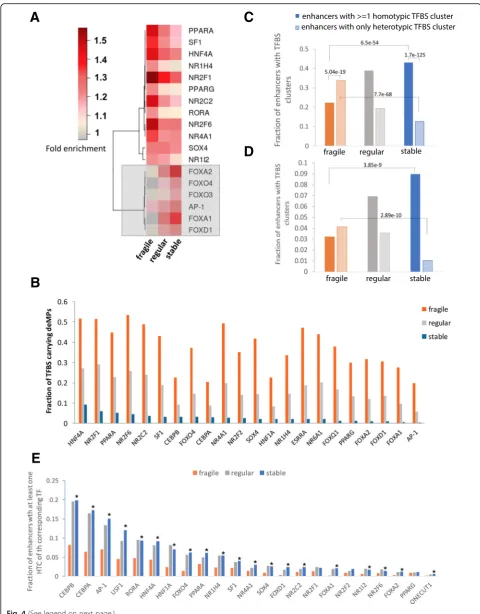 Fig. 4 (See legend on next page.)