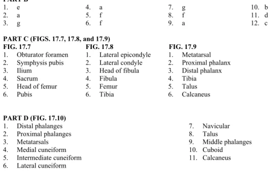 FIG. 17.7  FIG. 17.8  FIG. 17.9 