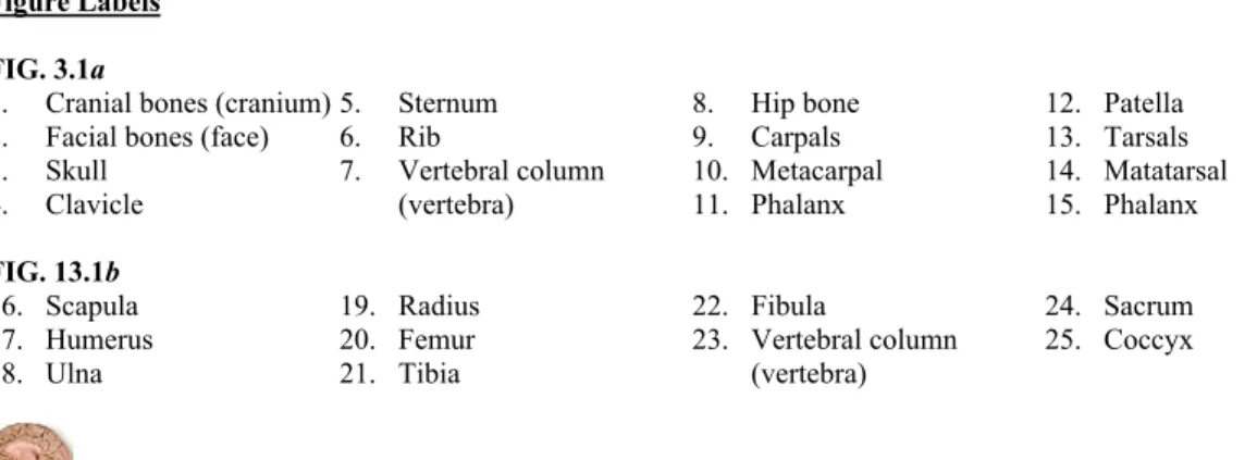 Figure Labels  FIG. 3.1a 