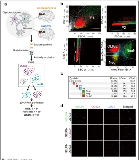 Fig. 1 (See legend on next page.)