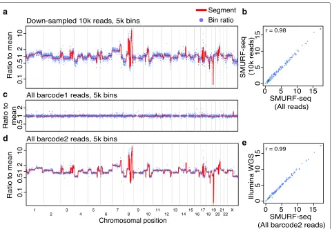 Fig. 3 Multiple SMURF-seq CNV profiles by multiplexing in a single run. a CNV profile of SK-BR-3 genome with down-sampled 10k SMURF-seq reads.b Scatter plot of normalized bin counts of the original SMURF-seq data and data down-sampled to 10k SMURF-seq read