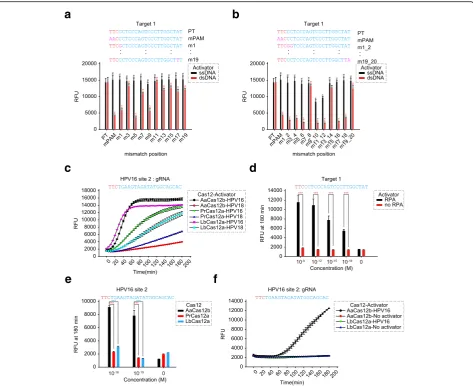 Fig. 1 Specificity and sensitivity of Cas12b-mediated DNA detection.errors of the mean (s.e.m.).,significance analysis between each mutated sample and the PT sample