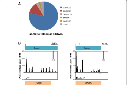Fig. 2 Deletion of some TE fragments in flamenco does not impair the global piRNA production from this piRNA cluster