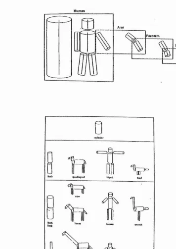 Figure 3.2. Marr and Nishihara's (1978) model of object recognition, a) A hierarchy of 3D models