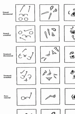 Figure 3.6. Examples of stimuli drawings used by Baker-Cave and Kosslyn (1993).