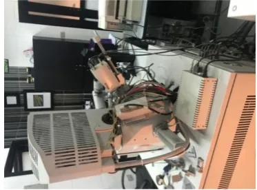Figure (2):  Quanta Environmental Scanning Electron Microscope (QESEM).   