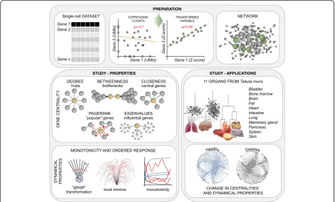 Fig. 1 Overview of the computational framework. Preparation: A change of variable (from expression values tootherwise hidden correlations between genes in single-cell datasets, ultimately allowing us to infer the global regulatory network