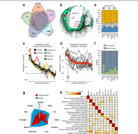 Fig. 4 Regulatory networks inferred from 11 organs of the mouse body.of the mammary gland regulatory network sorted by centrality