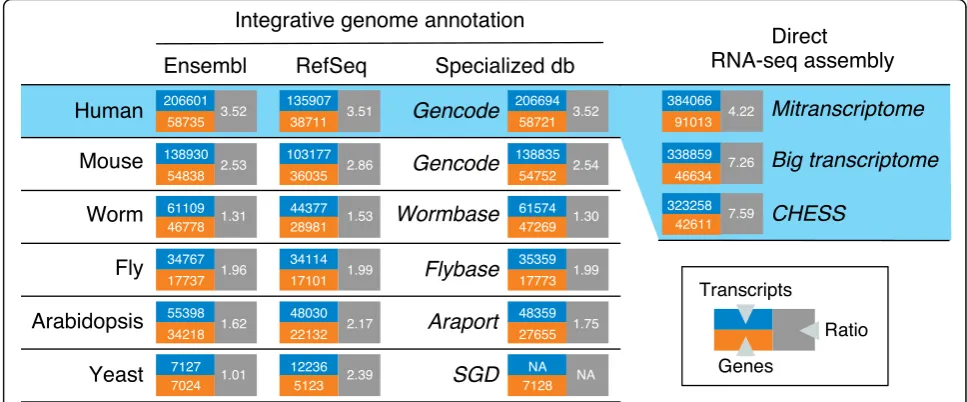 Fig. 1 Contents of major reference transcriptomes for human and model eukaryotes. Versions of databases used: Ensembl [additional curation information are provided in Additional file15], V95; RefSeq [16],human rel 109, mouse rel 106, worm rel WS268, fly re
