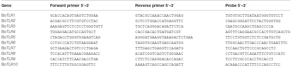TaBle 1 | Primers and probes used for bovine toll-like receptor (Tlr) mrna quantification.