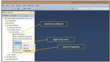 Figure 4: MSDASQL Properties Settings  5.3.  We have to ensure that the following settings/options are checked: 