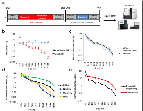 Fig. 3 Illumina size standards allow measurement of sequencer-specific size biases.run variability of multiple MiSeq runs ( a Design of REcount-based Illumina size standard constructs.Each standard construct contains a normalization barcode, as well as a b