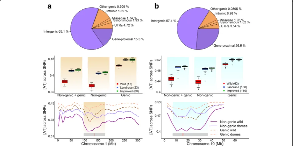 Fig. 2 Base-composition distribution at each of the six substitution types in maize (a) and soybean (b)