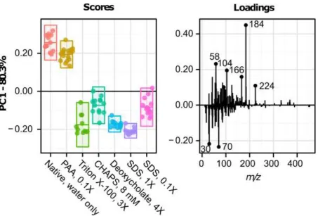 Figure 5: Principal component analysis (PCA) of positive ion spectra of UBM samples. Scores (left) and 