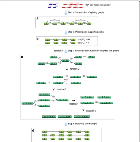 Fig. 6 Flowchart of TransLiG. a TransLiG takes as input the RNA-seq reads (single or pair) to construct splicing graphs by first using the graph-building framework of BinPacker to build initial splicing graphs, and then modifying initial splicing graphs by