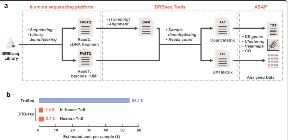 Fig. 6 The streamlined BRB-seq data analysis workflow and its low cost. a Schematic representation of the BRB-seq library post-sequencingdata processing pipeline