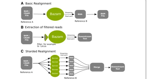 Fig. 1 Different configurations for using Bazam. a Simple realignment from one reference genome to another without intermediate storage orsteps