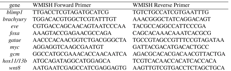 Table 2.2: Sequences of morpholino antisense oligonucleotides in this study.