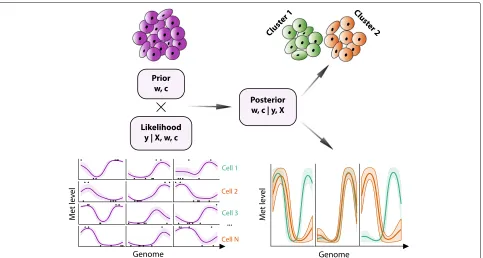 Fig. 1 Melissa model overview. Melissa combines a likelihood computed from single-cell methylation profiles fitted to each genomic region using asupervised regression approach (bottom left) and an unsupervised Bayesian clustering prior (top left)