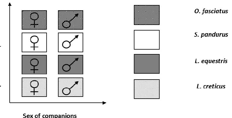 Figure 1. Interactions with conspecific males or male Spilostethus pandurus reduce the longevity of female Lygaeus equestris
