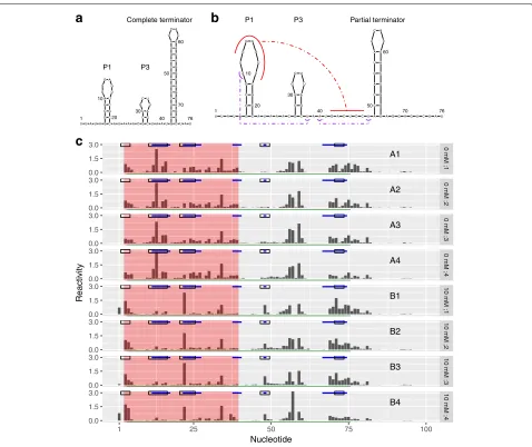 Fig. 4 dStruct identified DRRs from a ligand-mediated structure alteration. Fluoride ions bind the crcB fluoride riboswitch and alter its structure