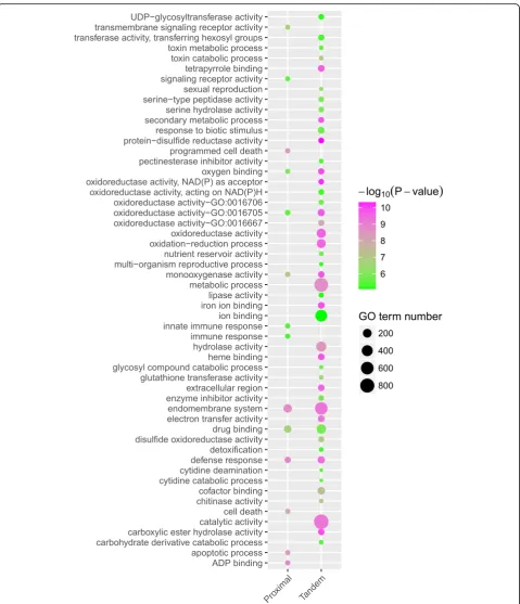 Fig. 5 Functional enrichment analysis of tandem and proximal duplicates in Arabidopsis