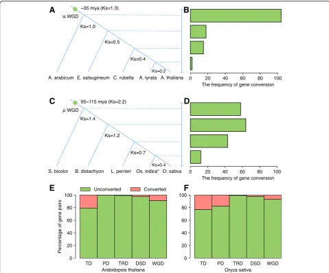 Fig. 7 Factors affecting gene conversion rates in plants.gene conversion events for different modes of duplicated gene pairs in model plants a, b Gene conversion rates after divergence between the A