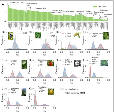 Fig. 2 Lineage-specific genome duplication events. a The genome duplication events identified in different lineages