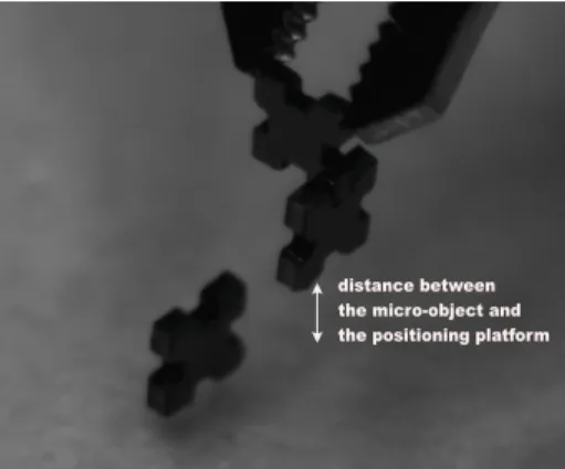 Fig. 7. The image shows the strength of an assembly of two microparts without external joining, it is due to the low microparts insertion tolerance (about 3 µm).