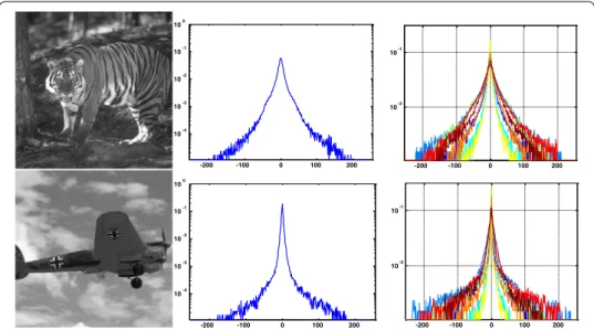 Fig. 1  Statistical characteristics change with the variations of image scene/content