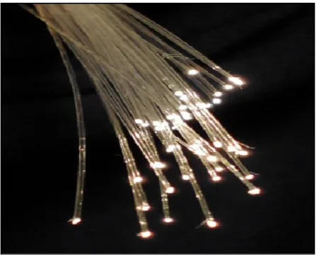 Figure 2.2 : Fiber Optic