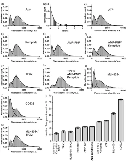 Figure 2. Fluorescence intensity distribution for phosphorylated TMR-labeled K224C/S283C Aurora A