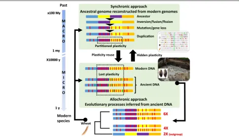 Fig. 5 Paleogenomics from ancestral genome reconstruction and aDNA recovery. Paleogenomics encompasses a synchronic approach (top),involving the reconstruction of ancestral genomes of several million years old (macro-evolution) from comparisons of modern g