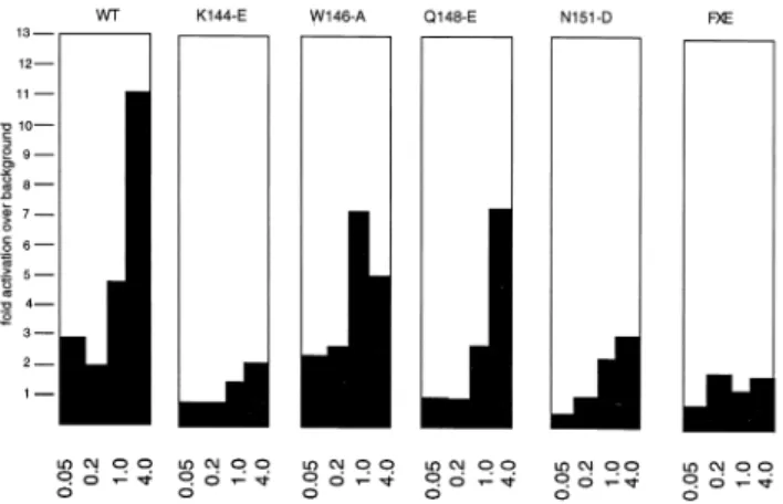 FIG. 2. Single amino acid substitutions in the HSV-1 Vmw110 RING finger helix affect its ability to activate gene expression