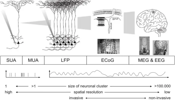 Figure 2.4: Recording techniques in order of invasiveness. Single and Multiple Unit Activity (SUA and MUA) signals shown to detect discrete firing of  indi-vidual neurons, as techniques become less invasive, they rely on regions of activity, and therefore 