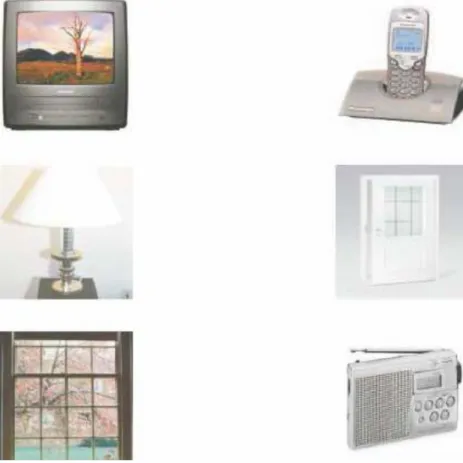Figure 4.6: Images presented in the P300 paradigm for the dataset used in [76]