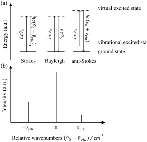 Figure 2.6. (a) Schematic of Stokes, Rayleigh and anti-Stokes scattering. (b) Scattered Raman spectrum intensities plotted against relative wave numbers